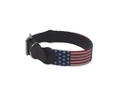 Dog Collar- Needlepoint Dog Collar Stars and Stripes Pattern