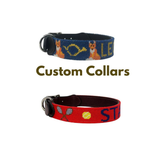 Needlepoint Dog Collar-Personalized to match your pup's personality